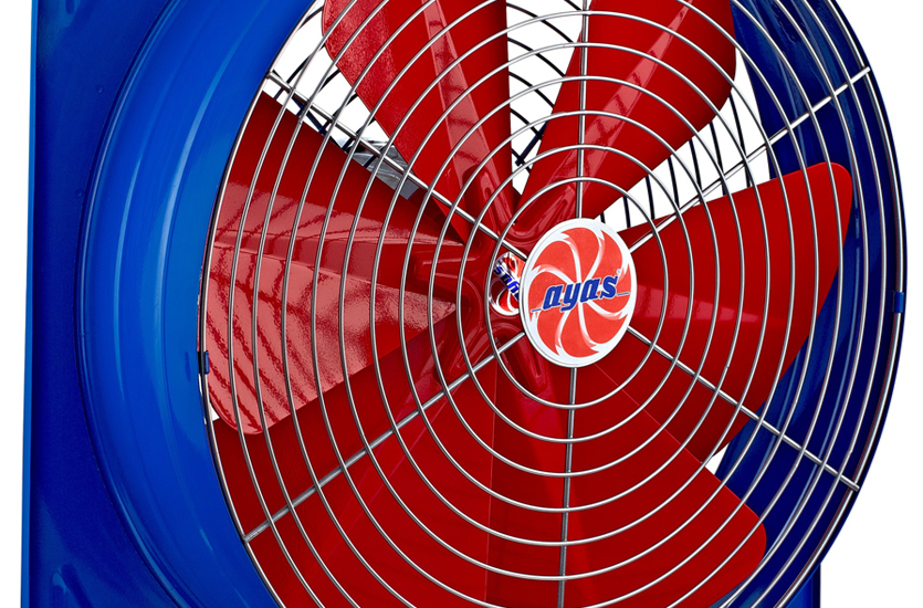 493950fa-fb0d-4dbe-a954-e59d7fe0e4c2-990x550