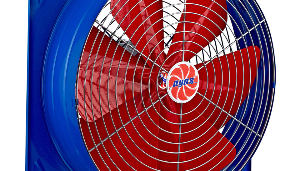 493950fa-fb0d-4dbe-a954-e59d7fe0e4c2-990x550