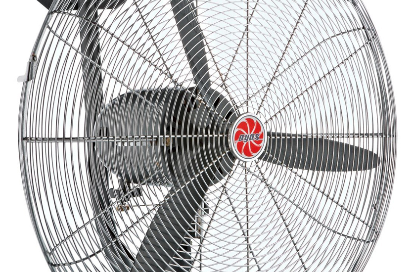 c786eb79-0f2b-4a07-8e04-aaba97bae172-990x550