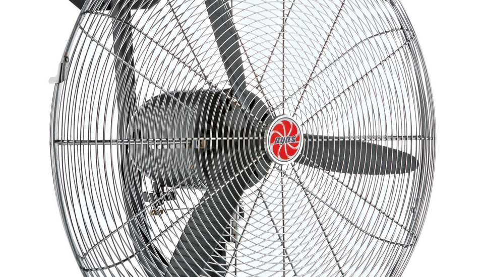 c786eb79-0f2b-4a07-8e04-aaba97bae172-990x550